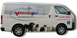 VenturePet pet transport Wellington cat travel - pet transportation van - Cat Travel